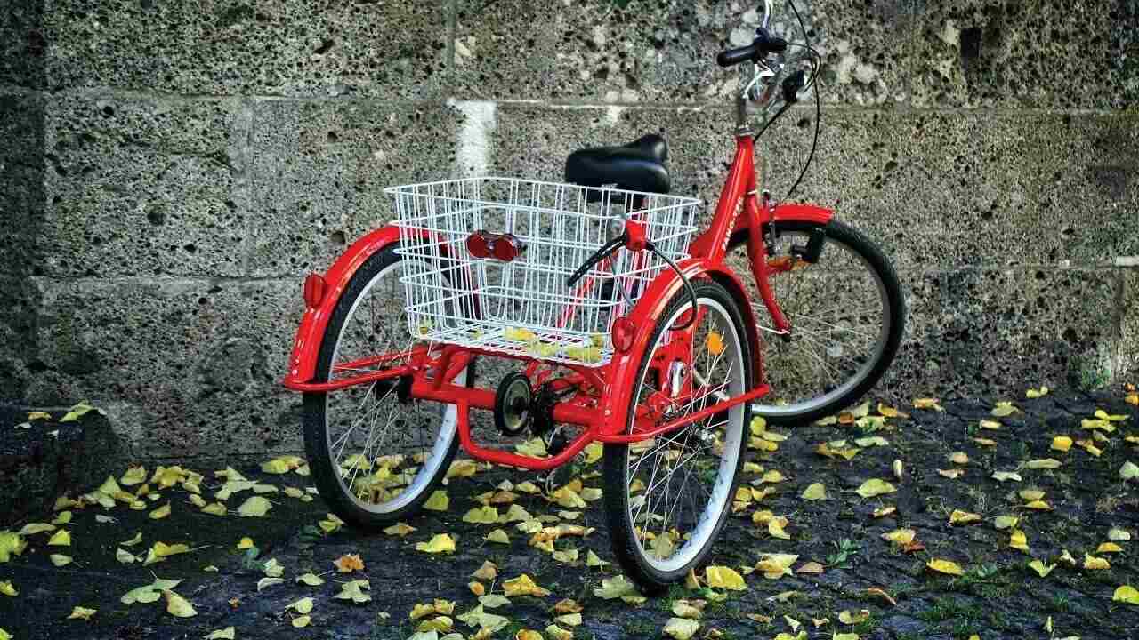 маркировка трехколесных велосипедов.jpg маркировка трехколесных велосипедов.jpg